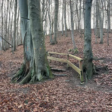 No 8 Stilvolles 2 Personen Mit Separatem Eingang Mit Direkter Zuganbindung Lägenhet Flintbek